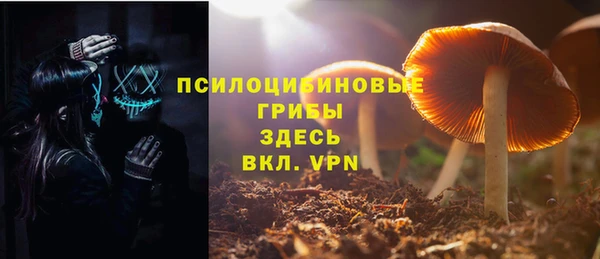 стаф Белокуриха