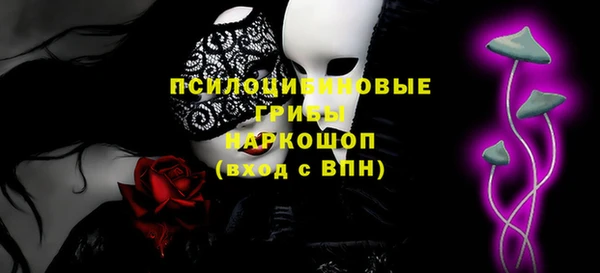 стаф Белокуриха