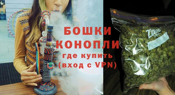 стаф Белокуриха