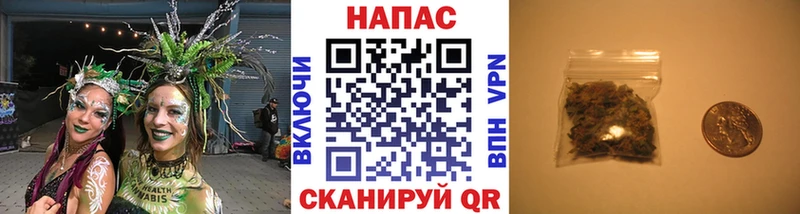 Конопля ГИДРОПОН Вельск